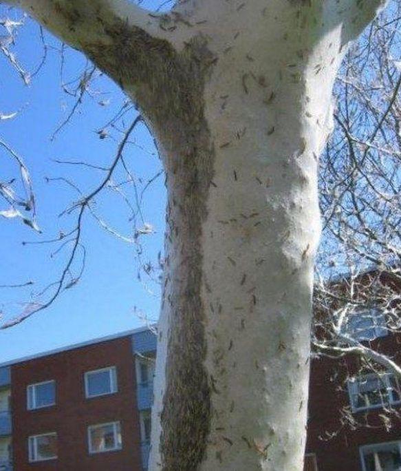 窗外天气有点阴暗, 结果出来看见自己的车后赶紧跑回屋里躲避
