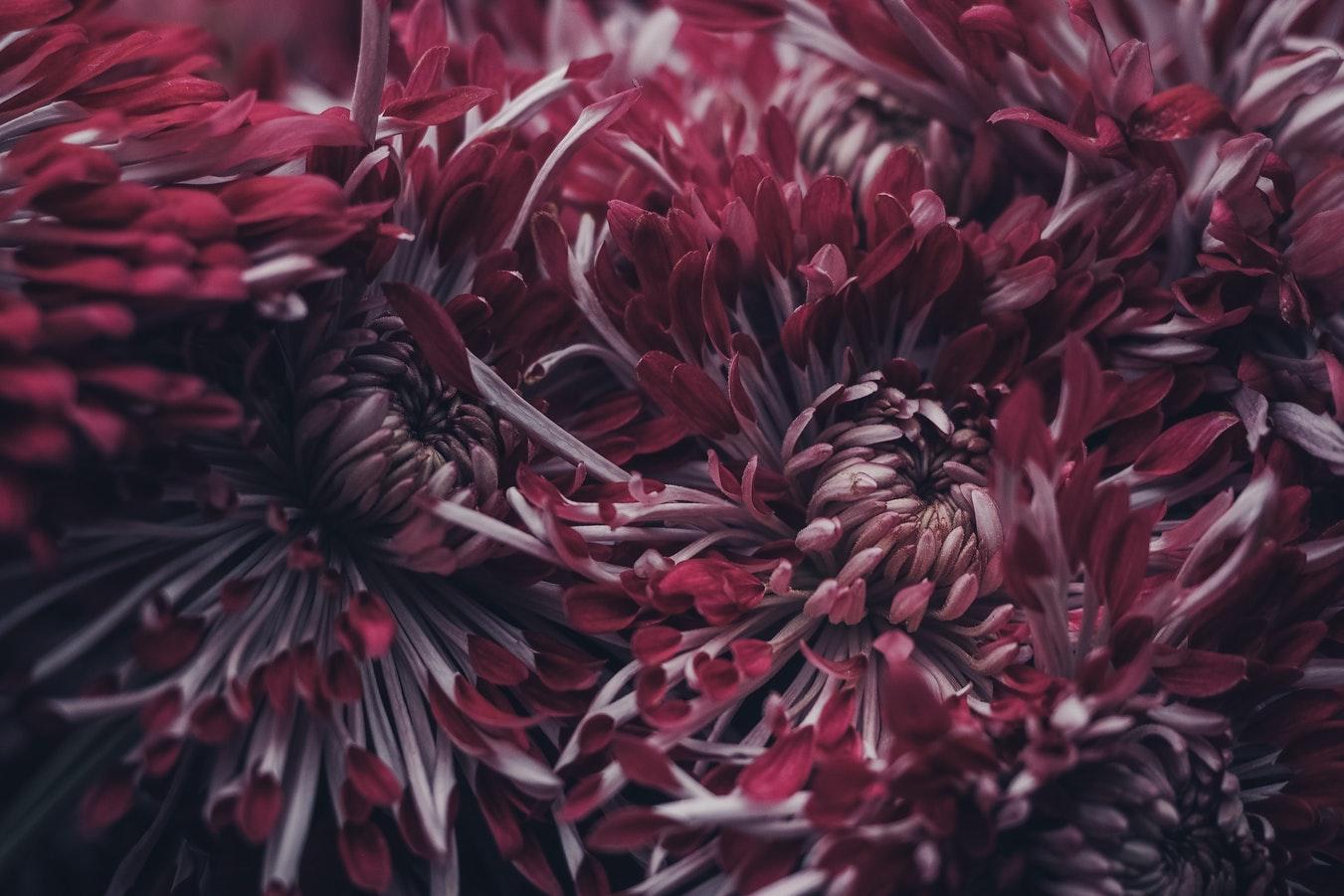 影响植物生长的环境因子仅仅是阳光, 空气和水吗?