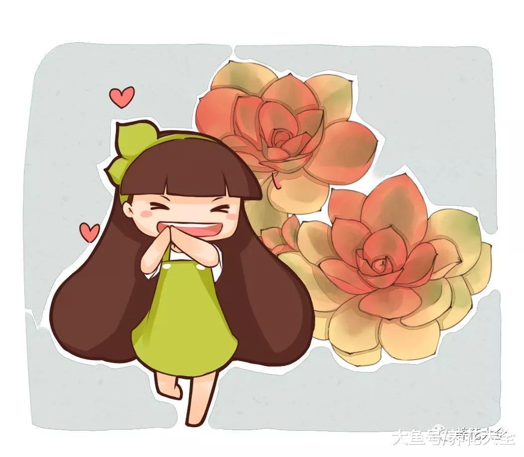 多肉扦插的时候, 在盆里加点这个, 1周就能生根!