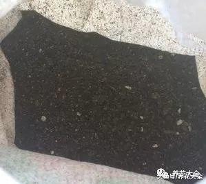 杀菌美容又能吃, 这花切1刀变10盆, 家里多得放不下!