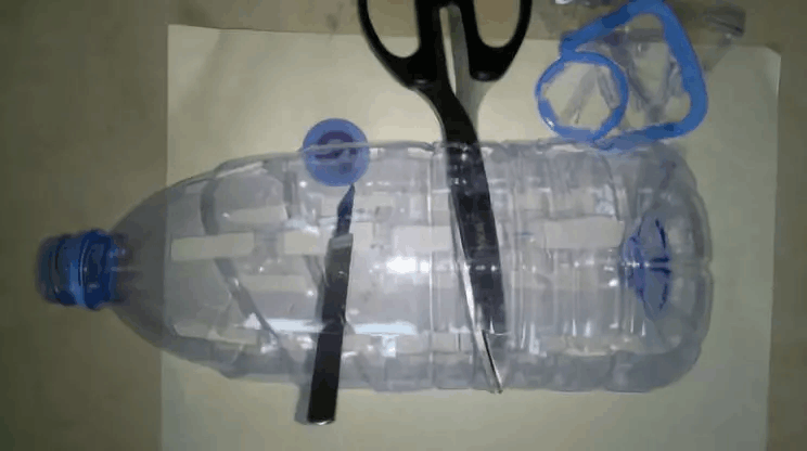 绿萝养腻了? 这3种绿萝新养法, 让你重新爱上它!