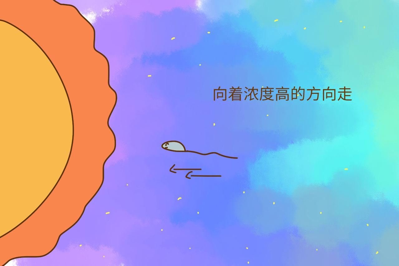 又没有感官, 精子咋定位卵子? 这些受孕的冷知识你需要知道