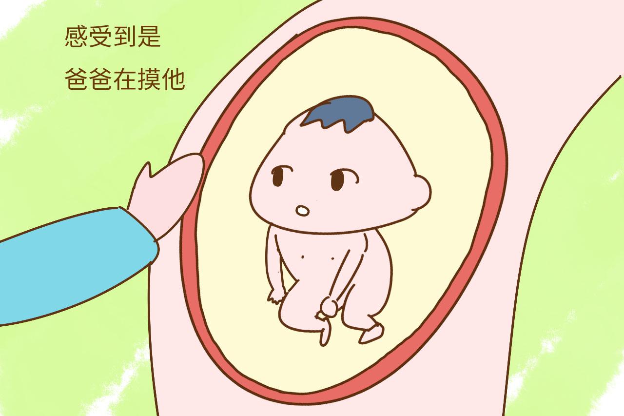 为什么胎动时, 爸爸一摸立马安静了, 胎宝知道不是妈妈吗?