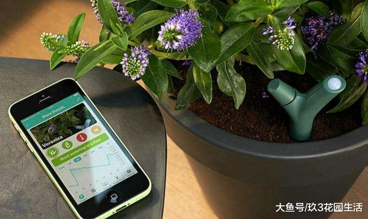 那些智能花盆现在都怎么样了?