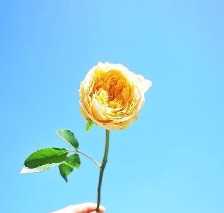 女孩子发的空间说说, 句句惊艳, 美得让人落泪!