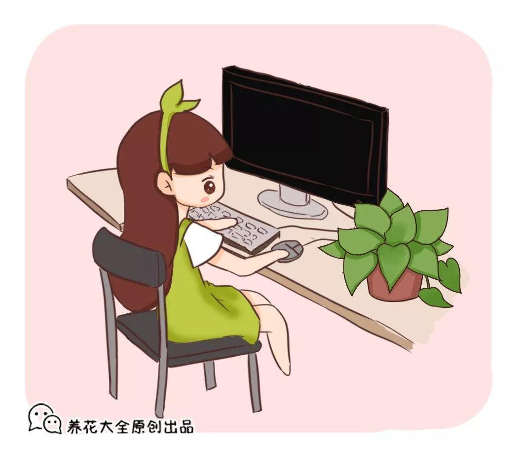 电脑旁边养盆它, 眼睛不酸头不晕, 护眼有奇效!