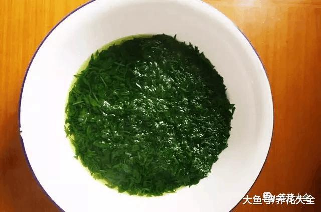 5棵菠菜, 加点蜂蜜, 捏一捏变小团子, 1口气吃6个!