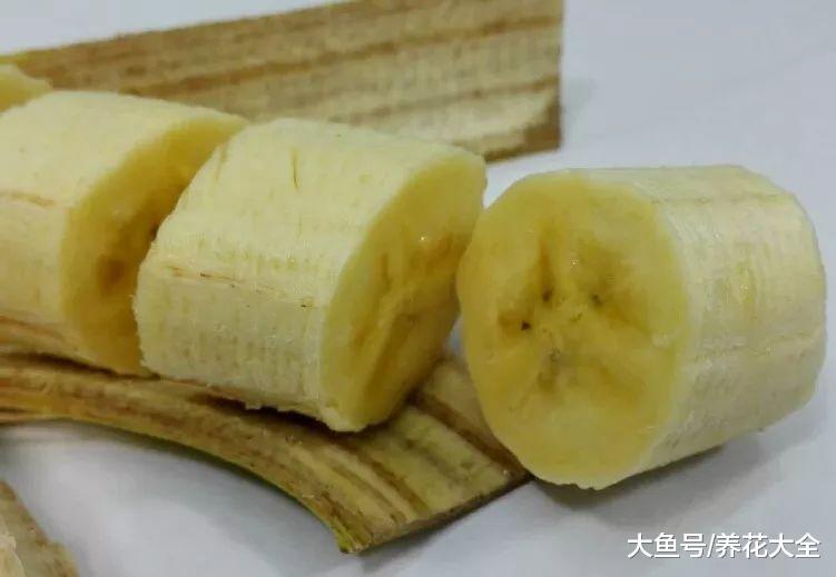 香蕉菠萝火龙果竟然是这么长出来的, 第一次见!