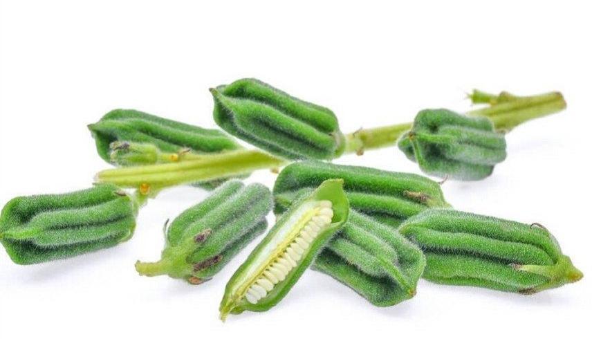 农田里它的钙含量是牛奶的七倍, 补血减肥都靠它