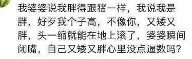 彪悍的媳妇是怎么回怼没事找事的婆婆的?