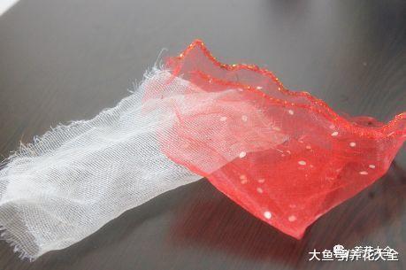 花盆里加点这个, 不烂根不黄叶, 轻松养满盆!