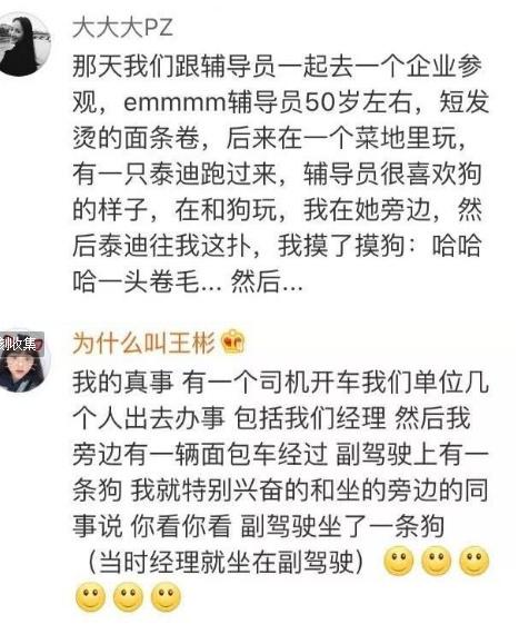 道道都是送命题, 望各位抓住机会