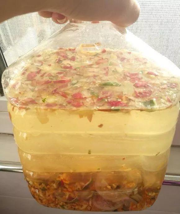 吃完橘子皮别丢, 水一泡胜过5瓶营养液, 花吃了蹭蹭往上长