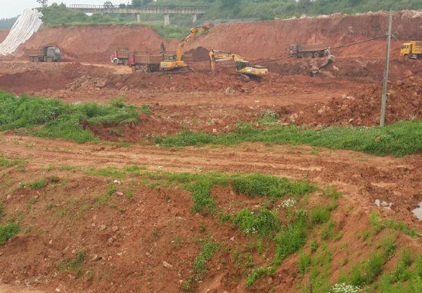 阴雨天快扦插, 简单成活率高, 1分不花养10盆!