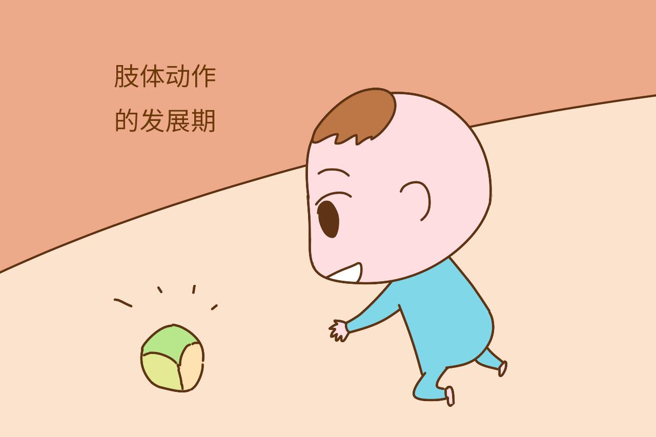 六岁前是孩子4方面发展的关键期, 要是抓住了将来不会差