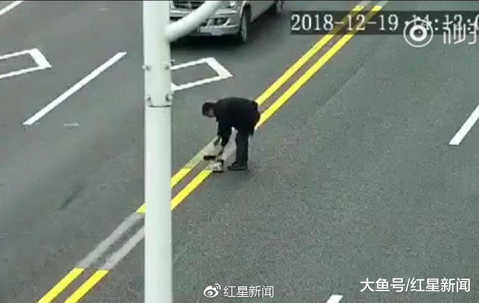 苏州一男子将双黄实线涂成虚线被罚2000元 交警: 已向附近饭店发告知书