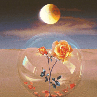 小猪的娱乐跳跳糖