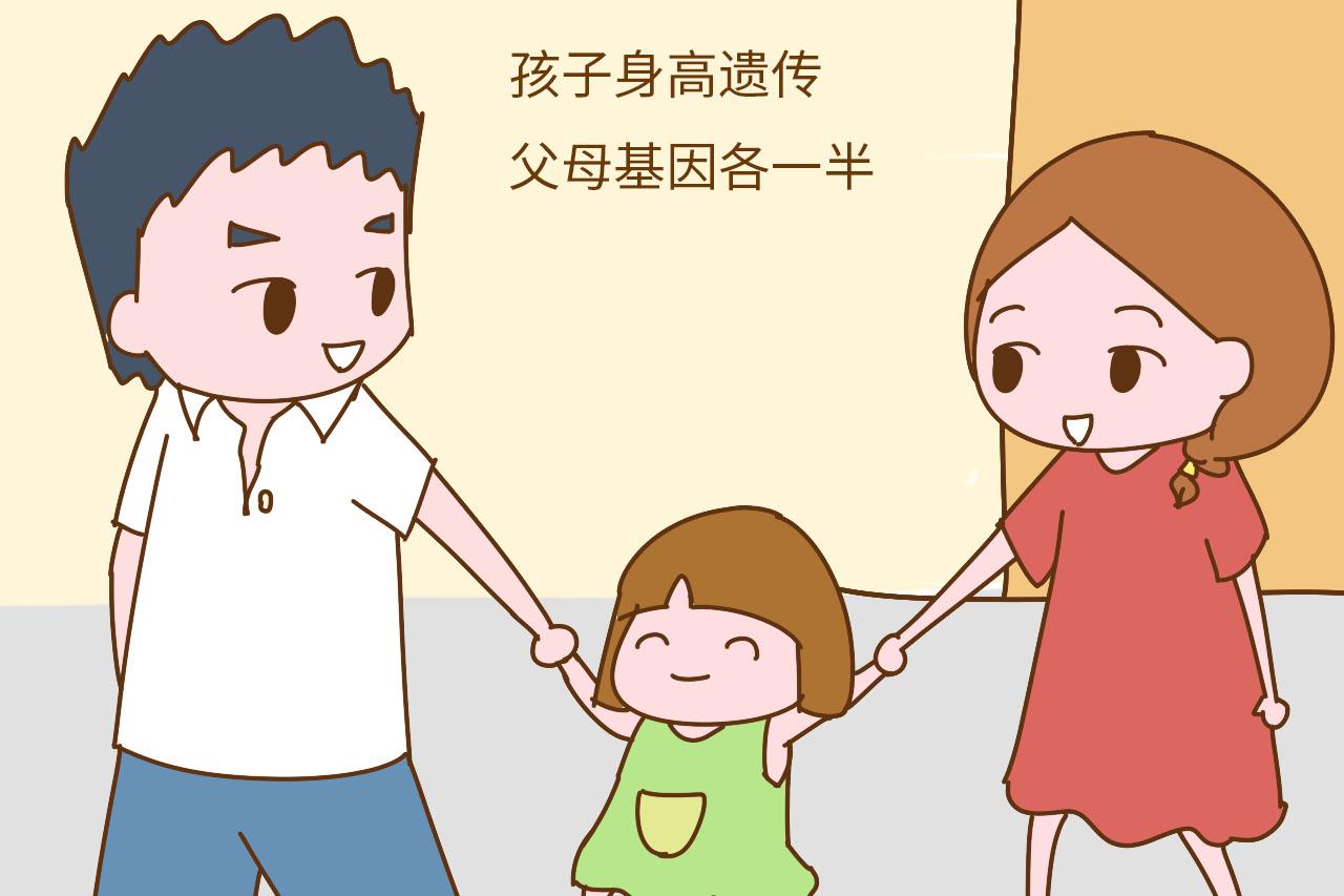 孩子的长相和智商由谁决定, 是爸爸还是妈妈? 这三句话很清楚