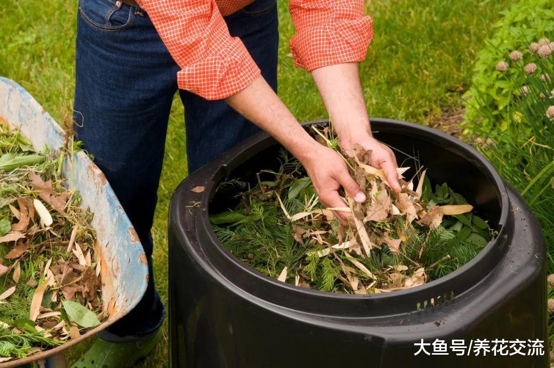用一个小桶就能自制健康无害的有机堆肥, 废弃垃圾变成实用的肥料