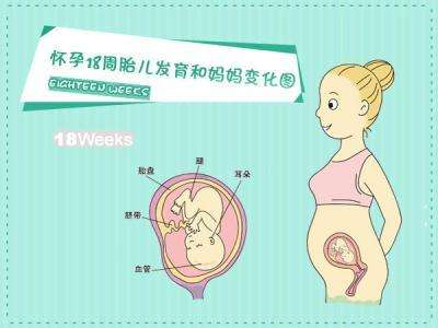 怀孕16周孕妇身体变化有哪些