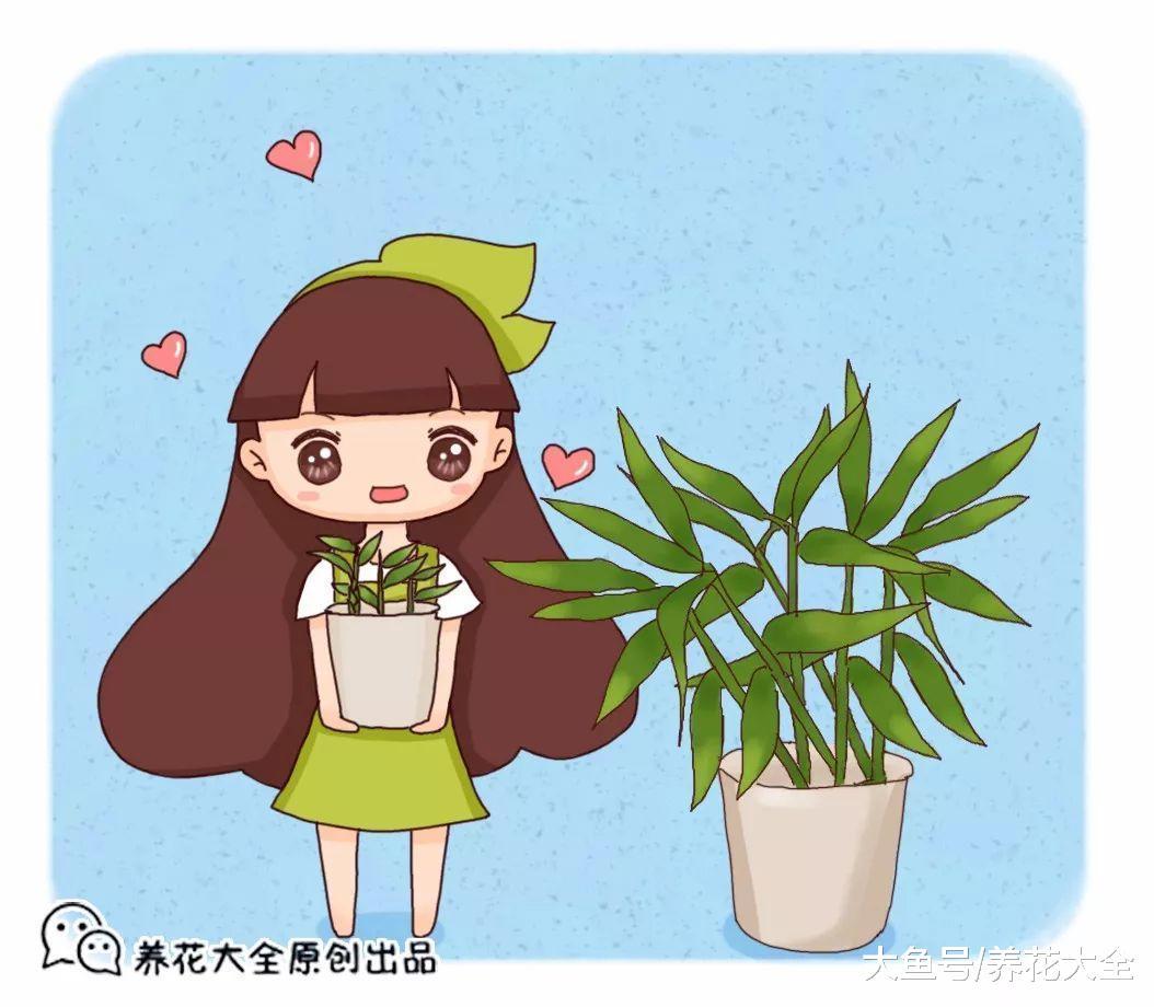 不光生姜, 洋葱在家也能种, 学会了就再也不用买了!