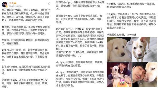 光良发文怀念爱犬 温情陪伴鼓励高考考生