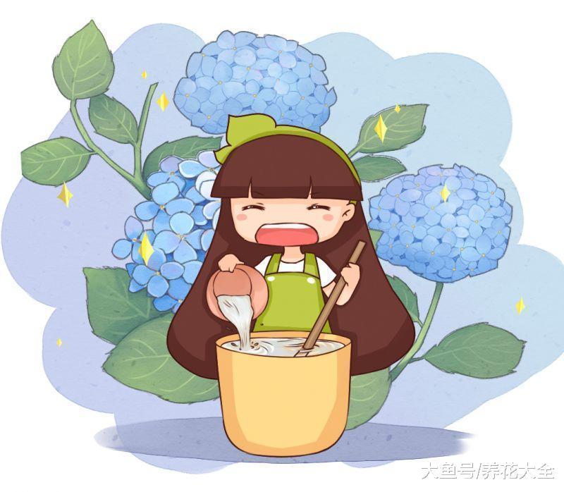 别再买肥料了, 这些厨房垃圾拿来养花, 省钱又实用!