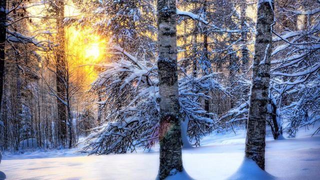 双手合十, 感恩遇见这十句话