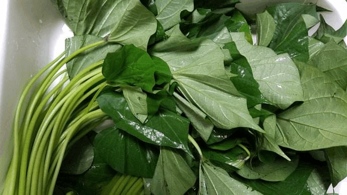 “可食性”花朵2块钱没人要? 买几朵回家煲汤, 营养价值赛人参