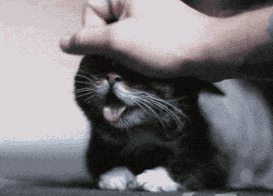 “准女婿, 彩礼50万全款一套房”“阿姨, 您女儿33岁, 梦该醒了”