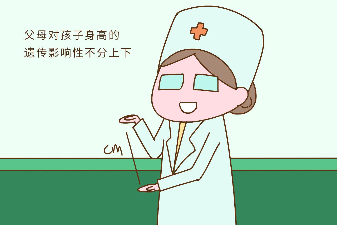都说“娘矮矮一窝”, 这个说法合理吗? 遗传学家给你正解