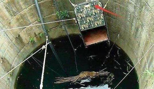 女子路边听到怪叫声, 在水井里发现一只猛兽, 所有的村民都来帮忙