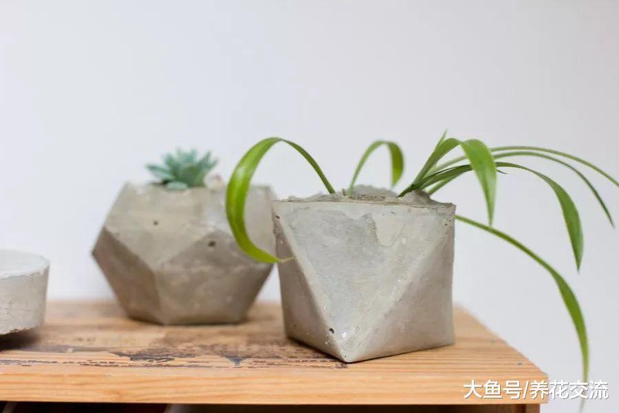 用废弃的材料制作混凝土花盆需要注意的几个技巧