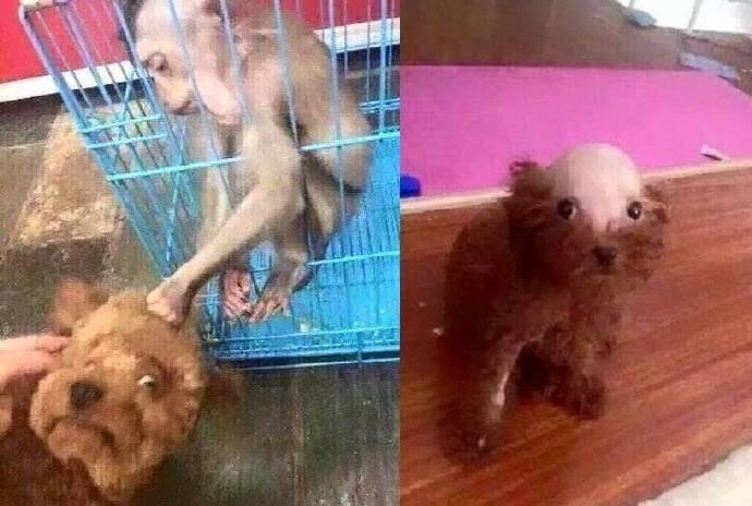 哈哈哈哈哈哈泰日天你也有今天！