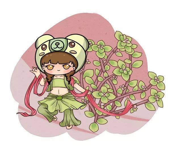 徒长的多肉先别砍, 控水转花盆, 5个月养老桩!
