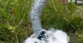 将融化的铝倒入蜘蛛洞中, 结果让人想不到