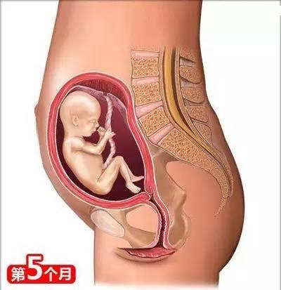 小两口从怀孕到生娃, 你一定要懂的26个母婴常识!