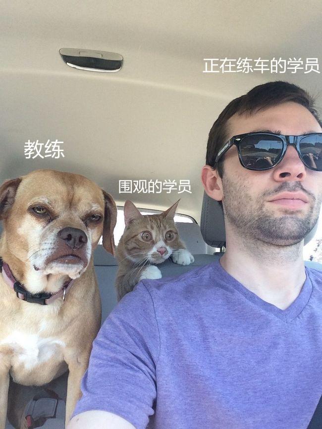 学驾照时的场景，简直了，表情太