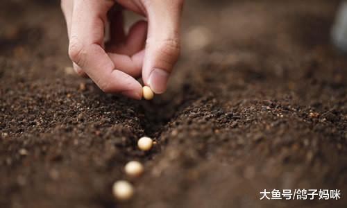 中、高考临近, 孩子不是不努力, 而是缺希望!