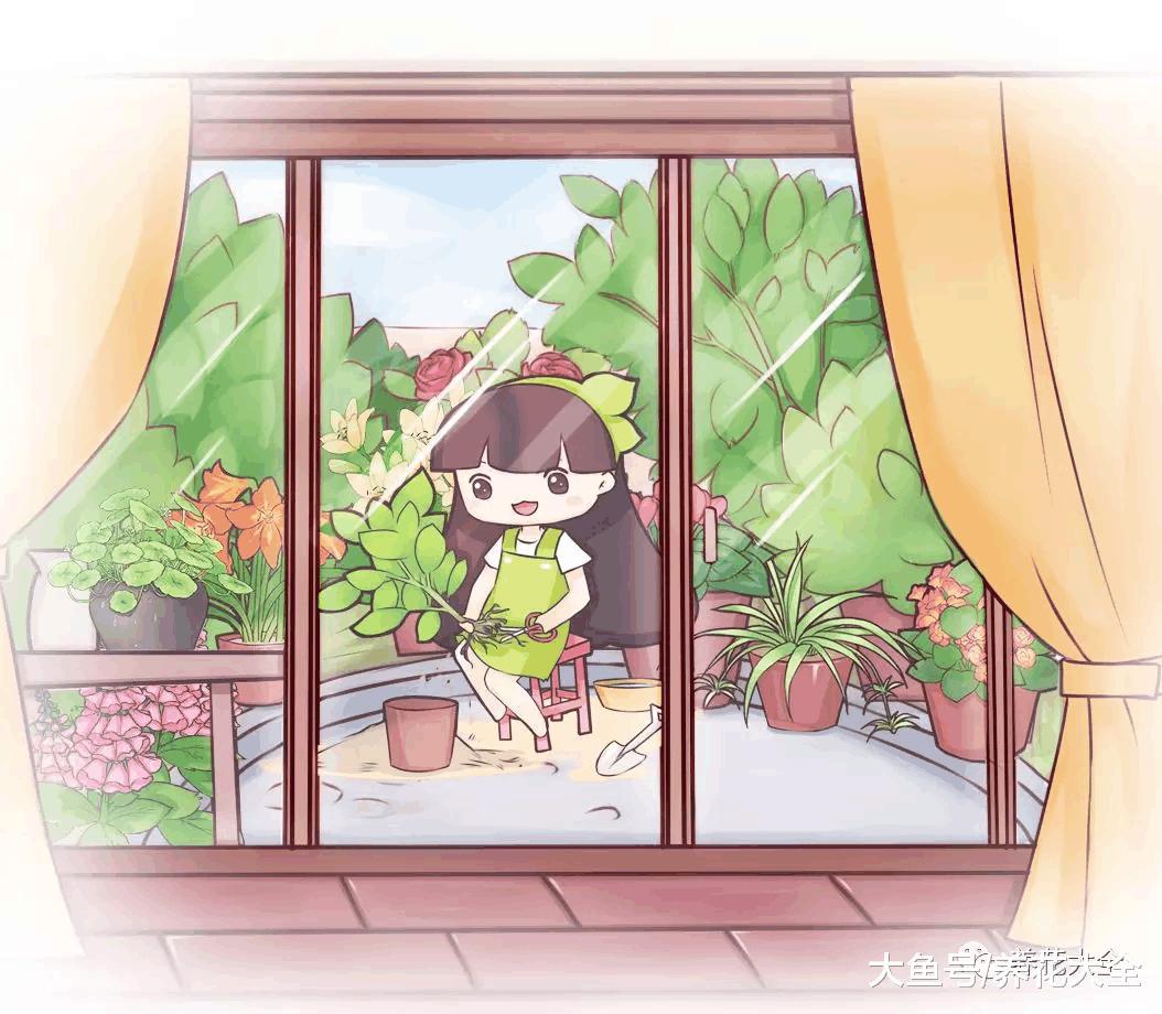 春季正是给植物换盆的好时机, 了解换盆小妙招, 轻松换盆不求人