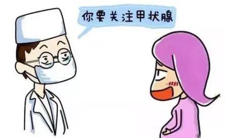 备孕须知: 备孕为啥要查甲状腺?