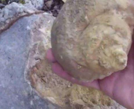 男子在河边发现一块“凸石”, 敲开后拿出这物, 男子高兴的睡不着