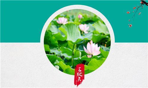 三伏天, 连续用陈皮泡水喝, 7天后身体有奇怪的变化!