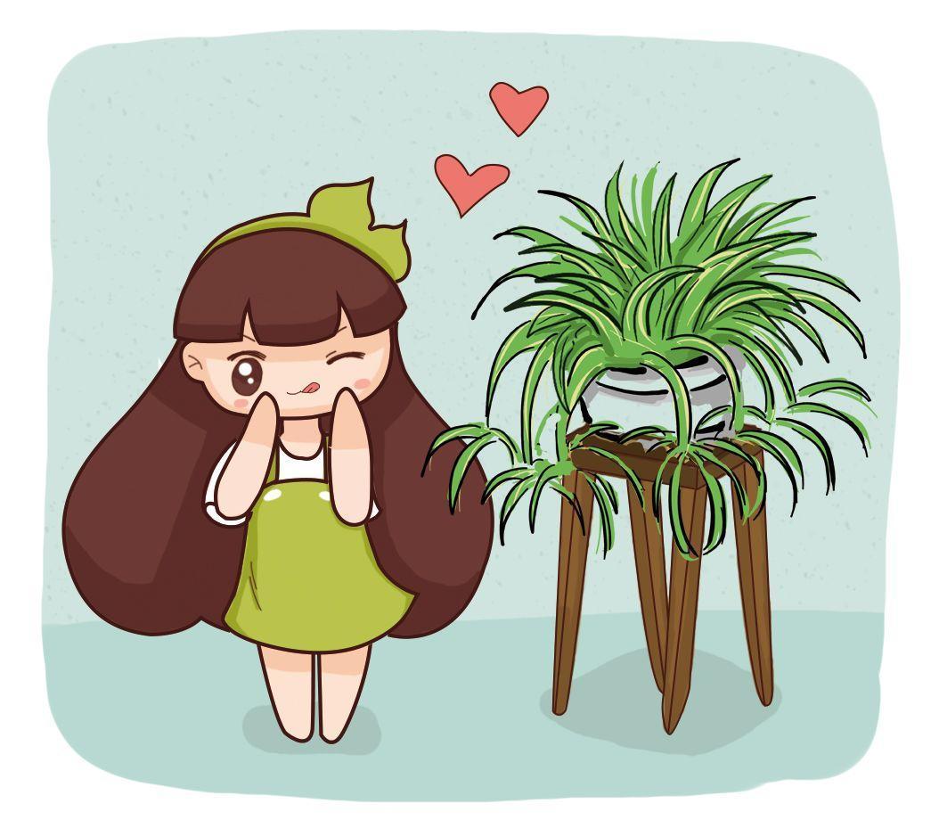 家里的这5盆花, 吸害又驱虫, 养多少盆都嫌少!