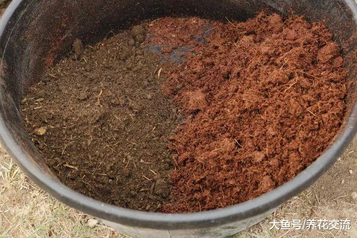 了解如何自制盆栽土壤, 养花省钱又省力