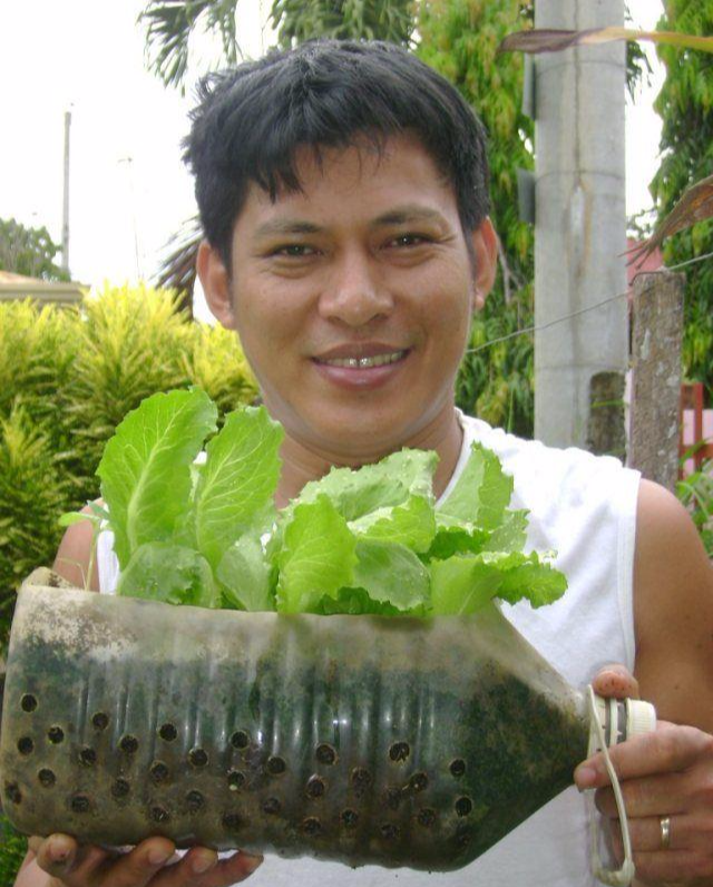 再也不用买菜了! 他用可乐瓶油桶打造厨房小菜园, 1年都吃不完