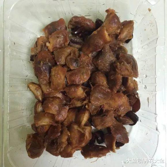 路边落的种子捡回家, 泡一泡丢盆里, 没想到长成了小森林!