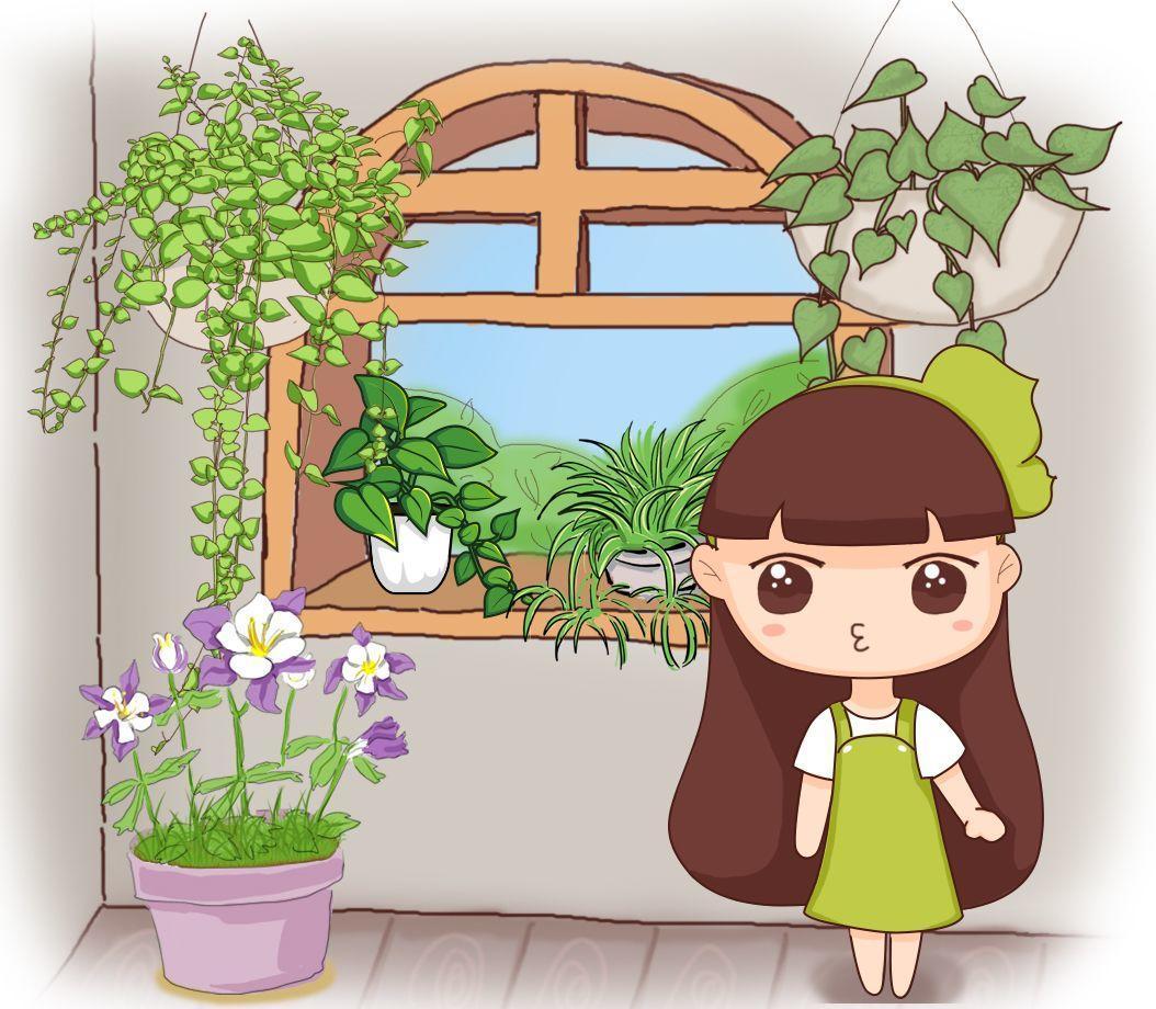 这6种花, 一养就上瘾, 日子越过越美好!
