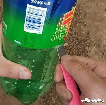 用完的瓶子千万别扔, 简单一加工, 就是养花的宝贝!