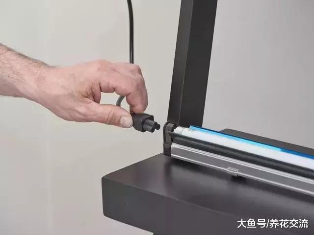 这三个DIY方法都很适合用在家里养花, 在室内种出盆栽小菜园